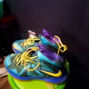 Lebron Nike shoes